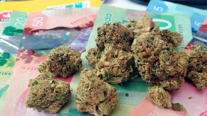 Canadá supera los 5.400 millones de dólares en impuestos al cannabis legal