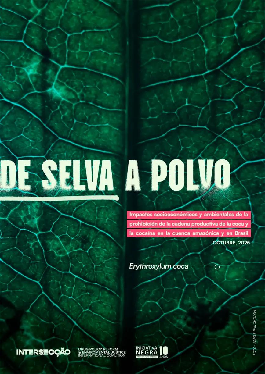 De selva a polvo es el nombre del extenso informe publicado por la coalición internacional Intersection – Land Use, Drug Policy and Climate Justice