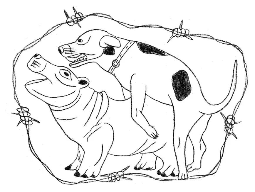 La domesticación de los hipopótamos bebés, 2025. Dibujo en grafito sobre papel de Iván Navarro.