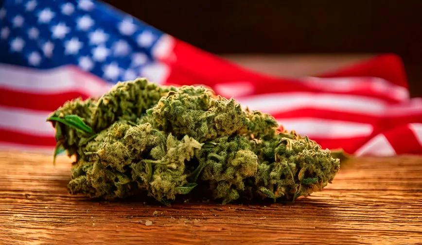 Cinco estados ajustan reglas de cannabis y cáñamo en 2026 en EE UU