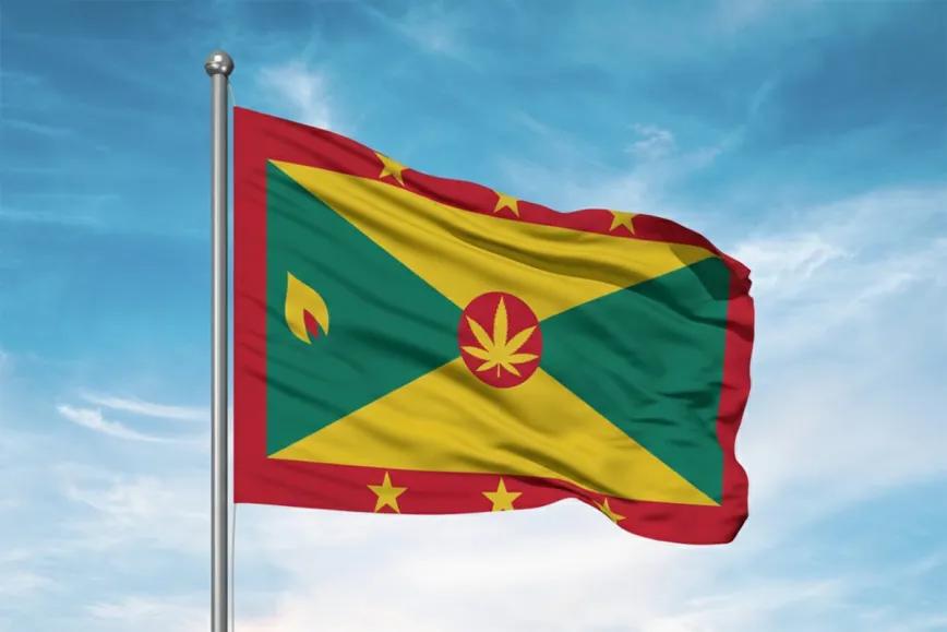 Granada despenaliza cannabis y autocultivo para mayores de 21