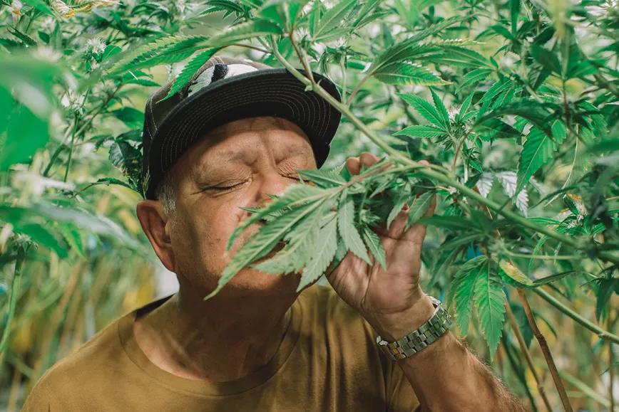 Entrevista con Richard “Cheech” Marin