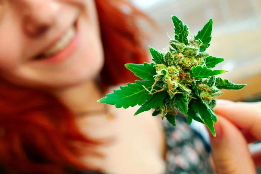 Cannabis y perimenopausia: lo que se sabe sobre alivio de síntomas