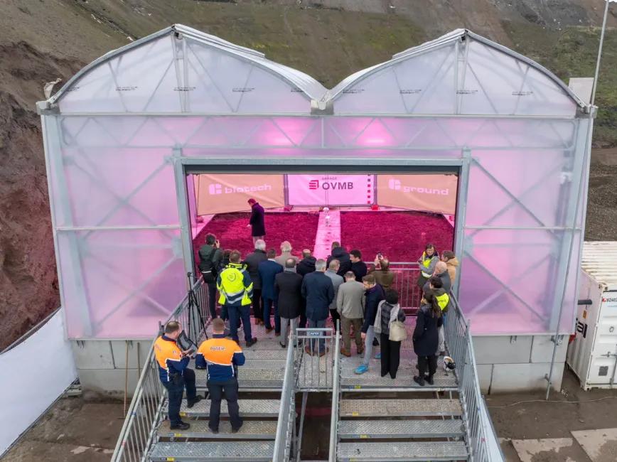 Puerto de Gante prueba cáñamo industrial para descontaminar suelos