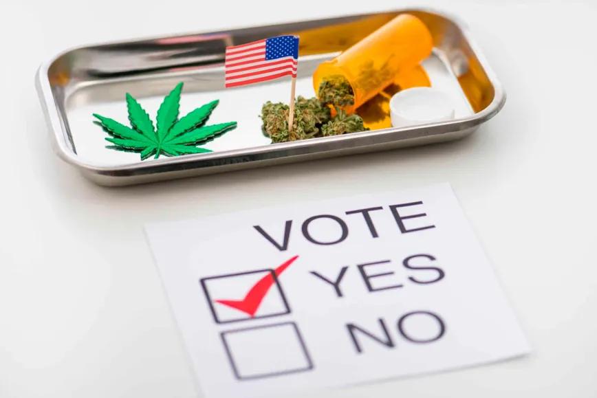 Primaria demócrata de Texas apoya legalización del cannabis