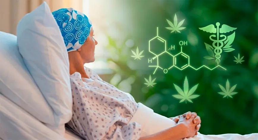 Cáncer y cannabis medicinal: un sondeo reabre el debate británico