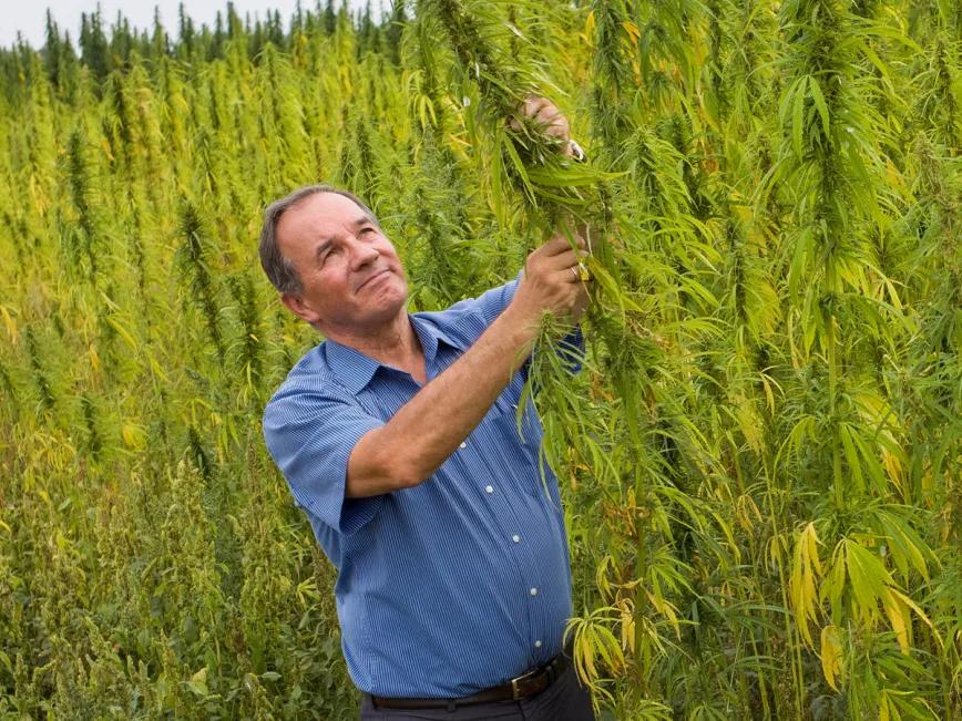 Michel Terestchenko, un referente del cáñamo gana peso en Ucrania