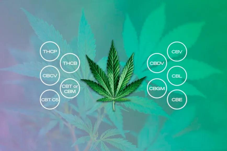 El potencial antiinflamatorio de los cannabinoides menores