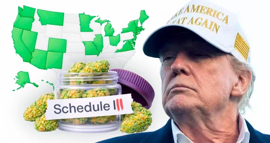 Trump reactiva la reclasificación federal de la marihuana