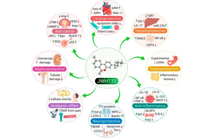 Propiedades farmacológicas de JWH133.