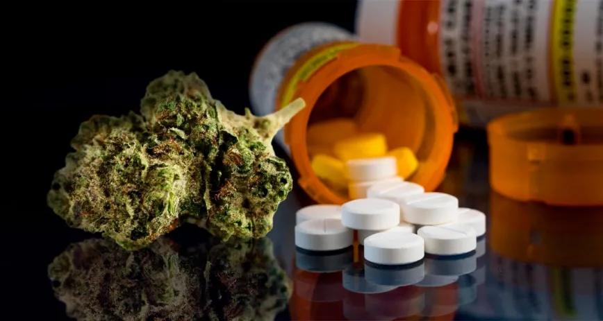 Cannabis regulado y opioides: surge nueva evidencia