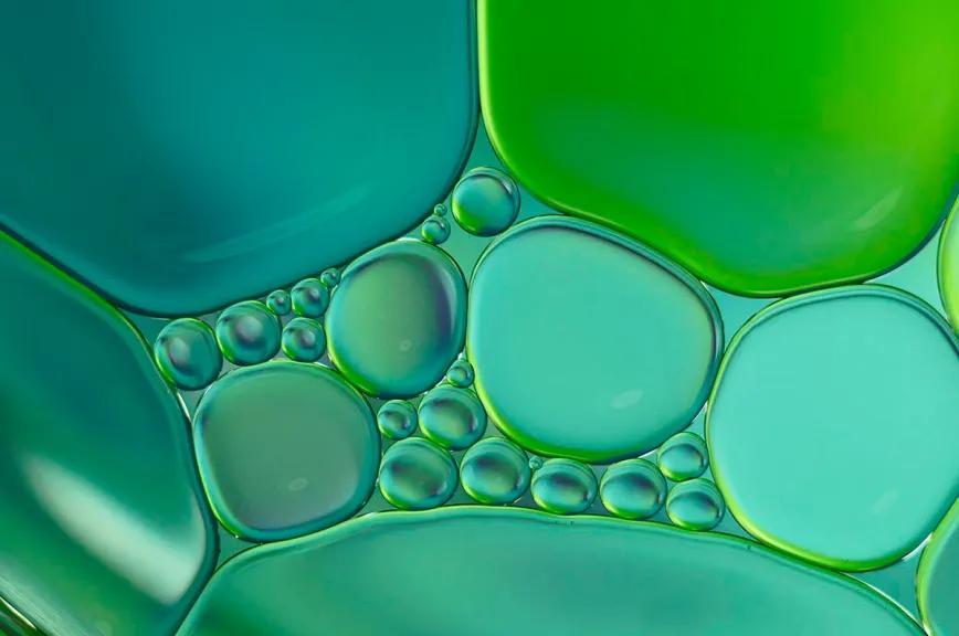 Una nanoemulsión con CBD atenúa alteraciones testiculares