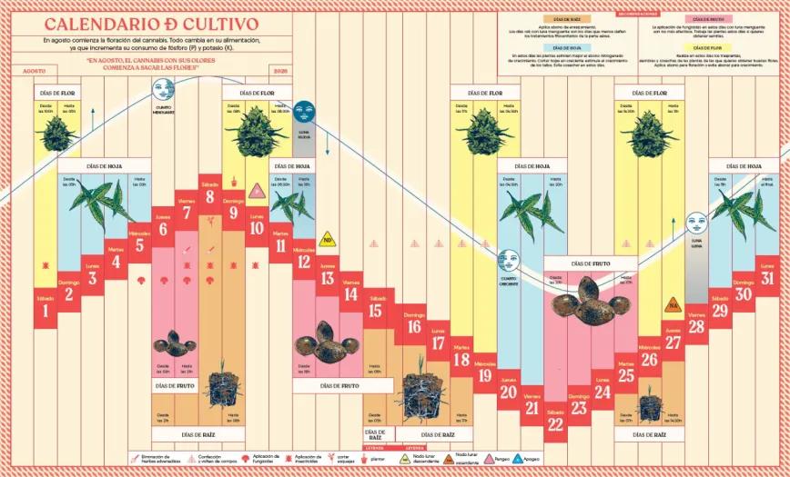 Calendario biodinámico lunario de agosto 2026 - Cáñamo 310