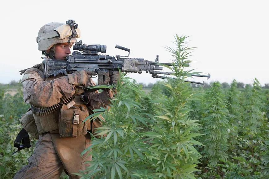 El Pentágono mantiene la prohibición del cannabis entre sus filas
