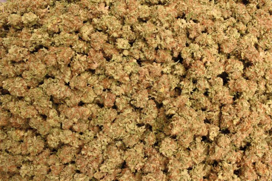 Conservación del cannabis: estrategias eficaces para mantener la calidad de los cogollos 