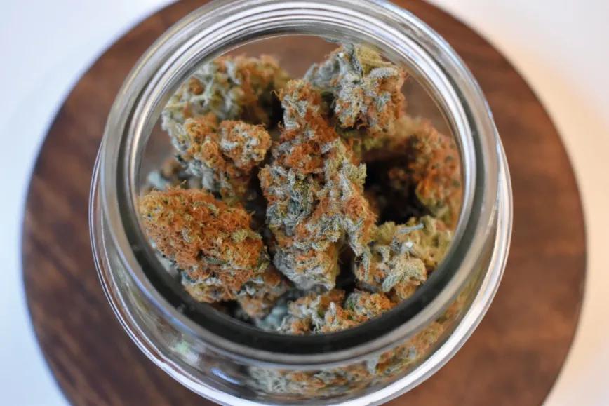 Conservación del cannabis: estrategias eficaces para mantener la calidad de los cogollos 