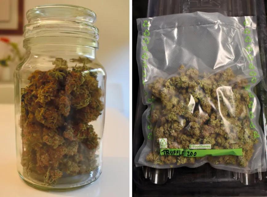 Conservación del cannabis: estrategias eficaces para mantener la calidad de los cogollos 