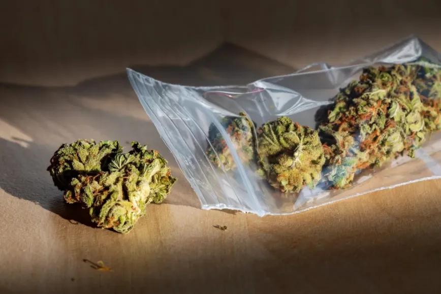 Islas Caimán estudia despenalizar hasta 30 gramos de cannabis