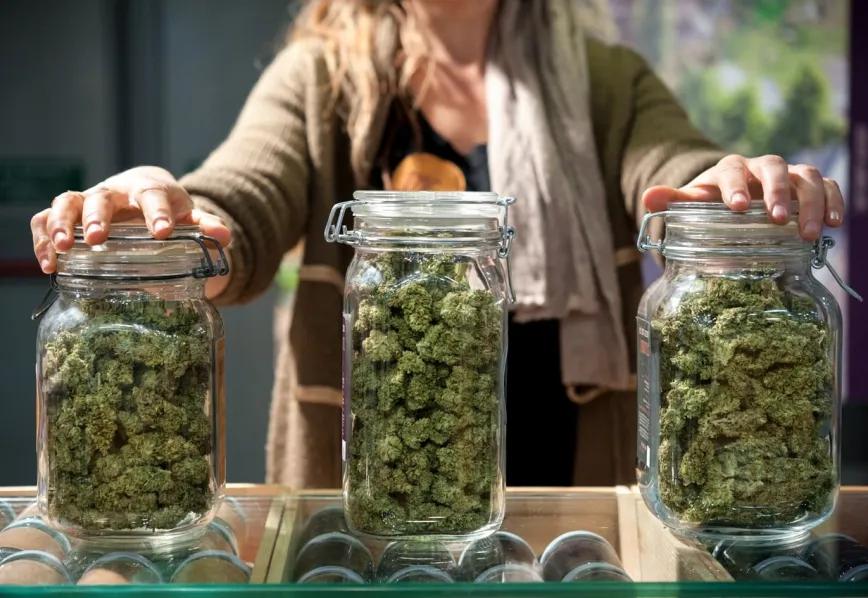 Alemania suma 77 asociaciones de cannabis desde marzo