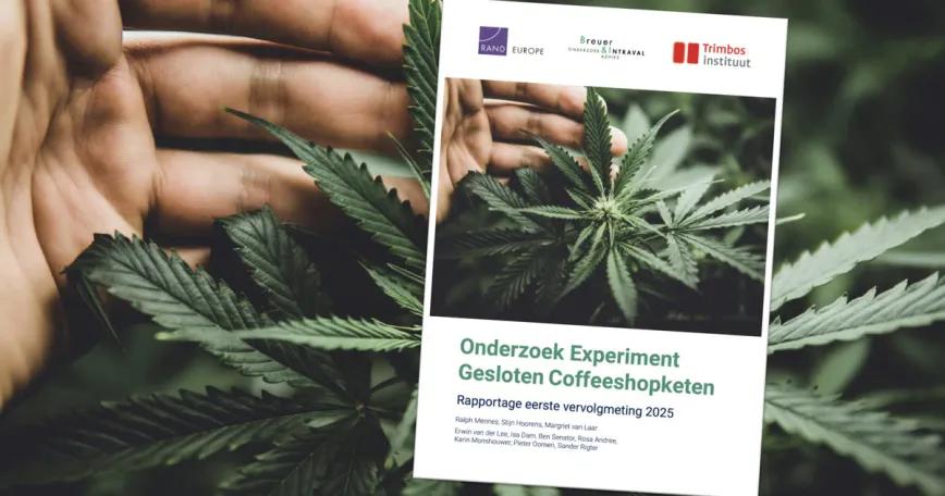 Surgen los primeros datos del cannabis regulado en Países Bajos