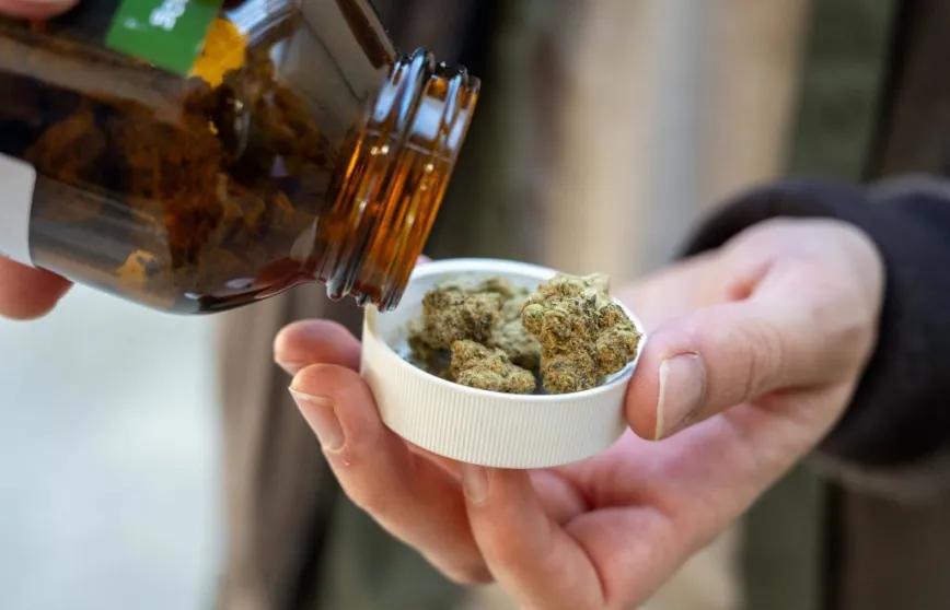 Alemania: un tribunal niega mantener el reembolso de flor medicinal
