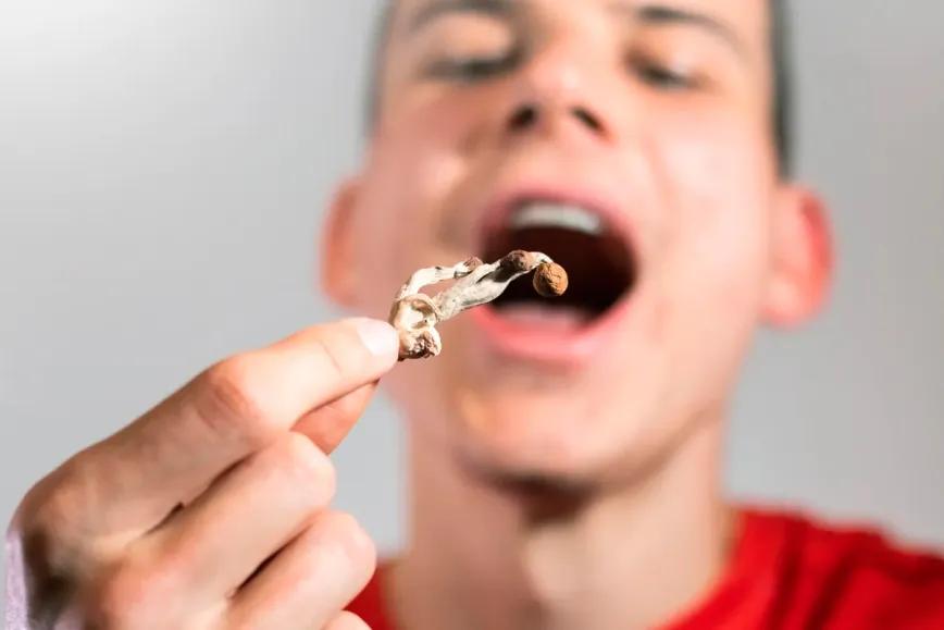 Un ensayo compara los efectos de la psilocina y psilocibina en humanos