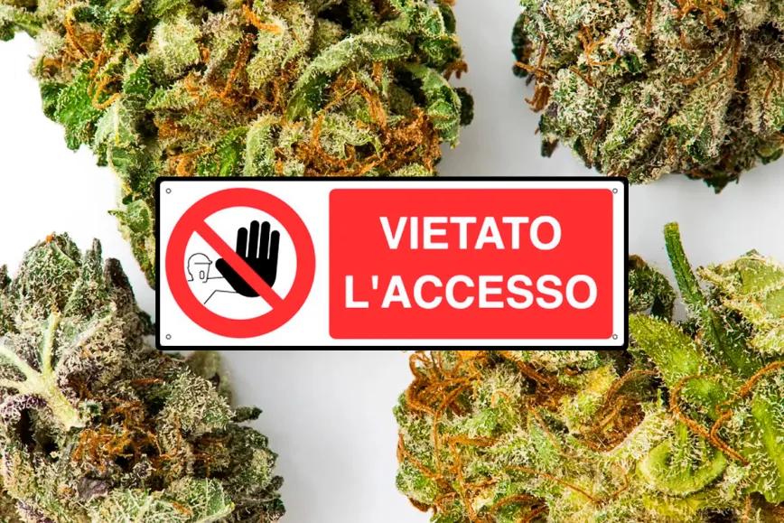 Italia mantiene el veto al cáñamo hasta su revisión constitucional