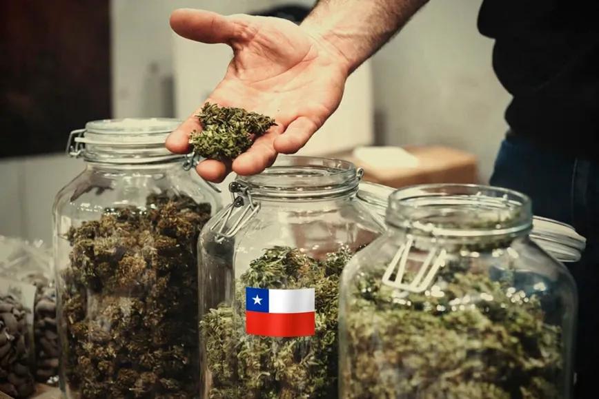 Un estudio mapea 294 clubes de cannabis en Chile