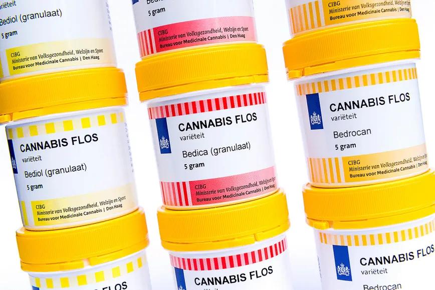 Países Bajos enfrenta un desfase en su cannabis medicinal