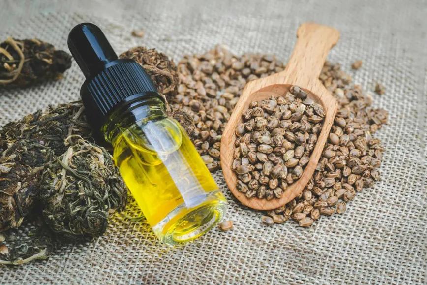 El cáñamo escocés busca crecer entre aceites y alimentación animal