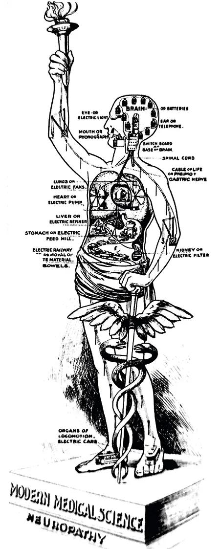 Modelo del cuerpo humano como máquina eléctrica.
