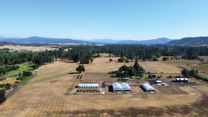 En Rogue Valley, al sur de Oregón, Belushi’s Farm ocupa 37 hectáreas dedicadas al cultivo de variedades como Captain Jack’s, Blue Dream, Sage o Chocolate Hashberry, dentro de un catálogo que combina genética propia y espíritu artesanal.