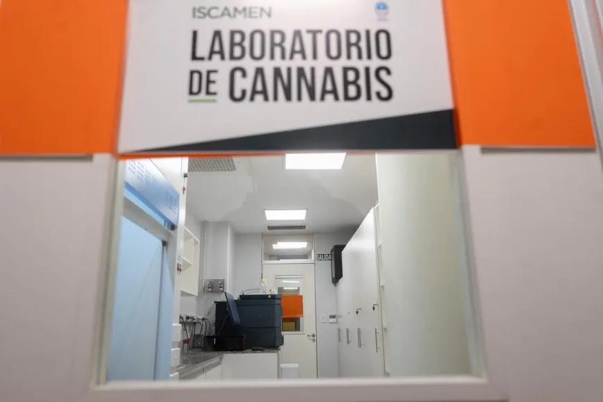 Provincia argentina abre laboratorio público para analizar cannabis medicinal