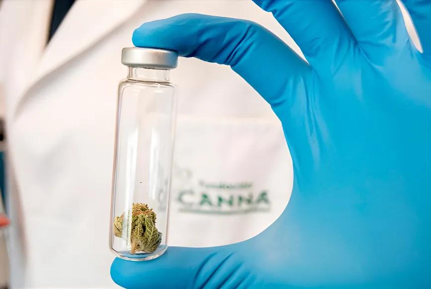 Fundación CANNA: la ciencia del cannabis medicinal al alcance de todos
