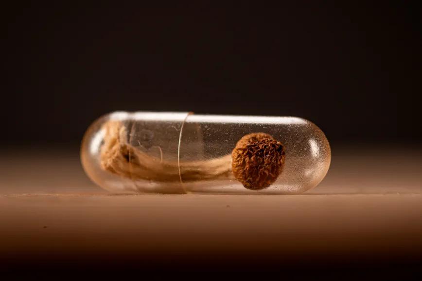 Dos ensayos fase 3 acercan la psilocibina a revisión regulatoria