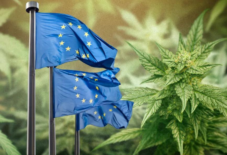 La UE avanza hacia reglas comunes para toda la planta de cáñamo