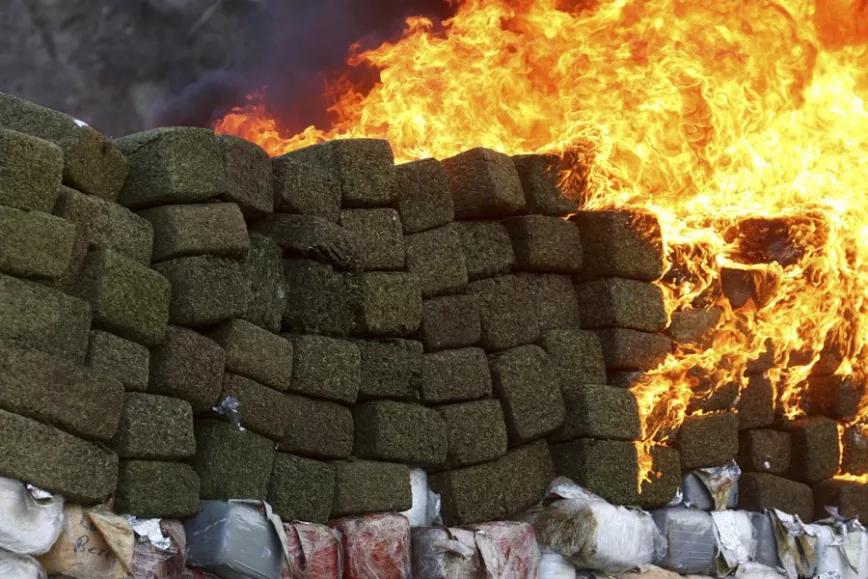 Canadá destruye más cannabis legal del que vende