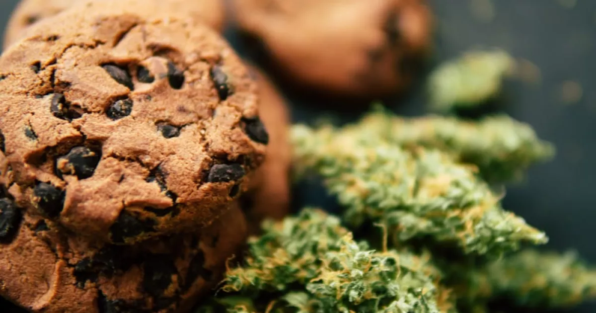 Mexican Supreme Court Permits Cannabis-Infused Foods for Personal Use