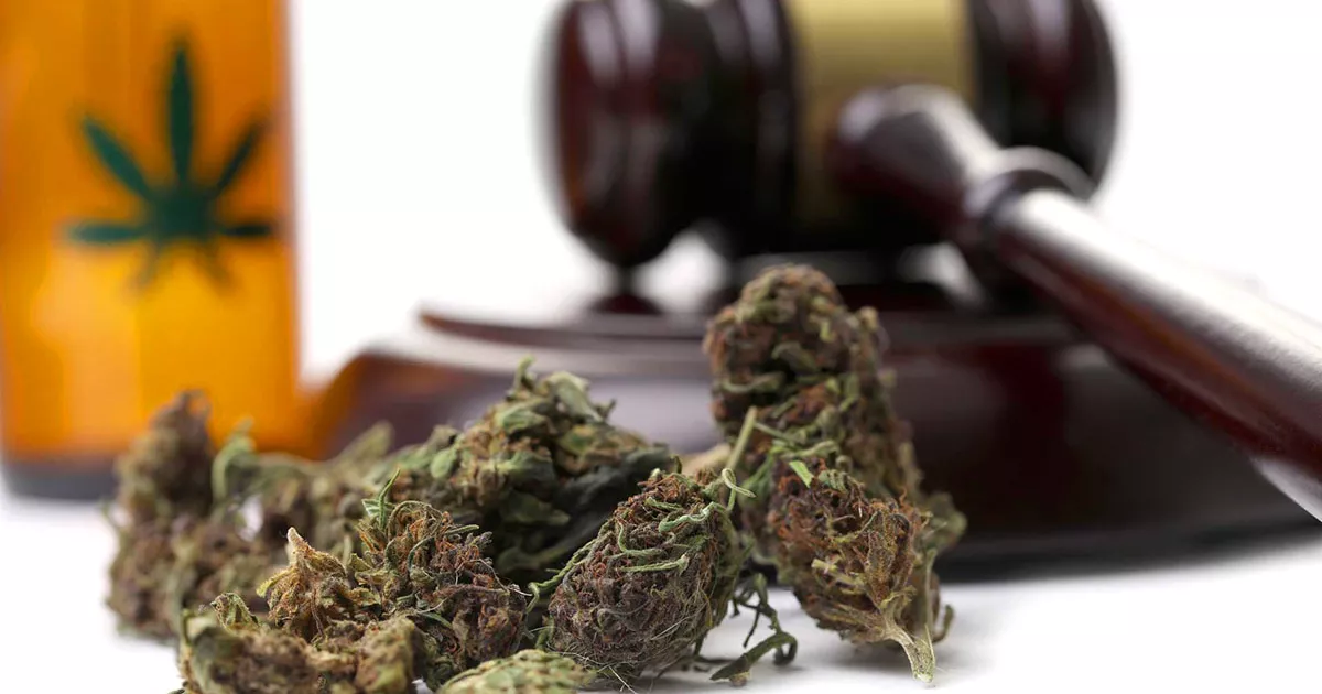 Brazilian Supreme Court Upholds Medical Cannabis Cultivation Right for Patient