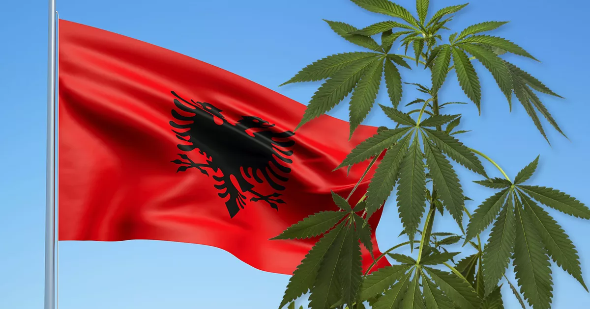 Albania Presenta La Ley Para El Cannabis Medicinal E Industrial | Cáñamo