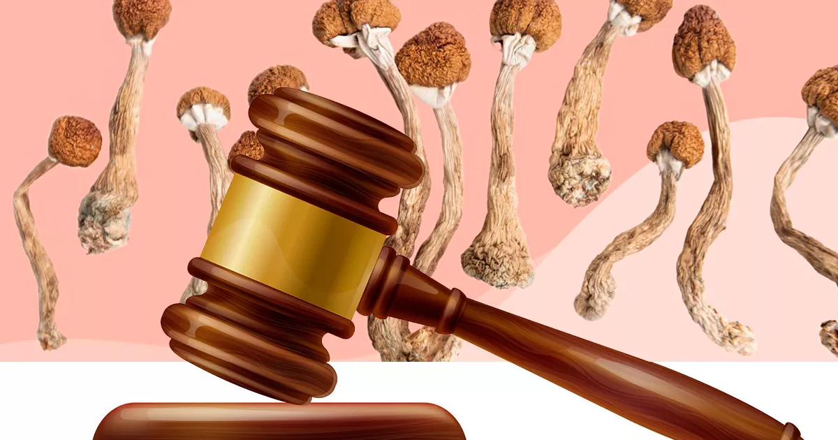 Ordena Un tribunal de EE UU ordena a la DEA que explique por qué no permite el ...