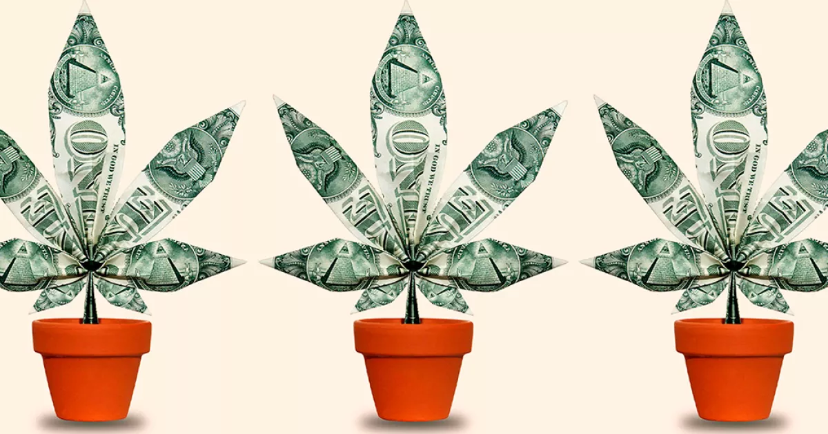 US Cannabis Tax Revenue Reaches $3.55 Billion, Reflecting Market Growth