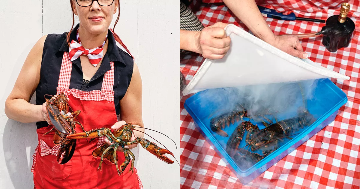 US restaurant uses cannabis to sedate lobsters before boiling them