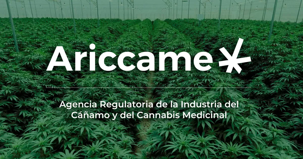 Argentina amplía la regulación del cáñamo con nuevas licencias para flores y biomasa
