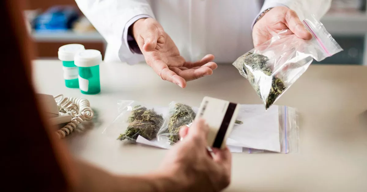 La interpretación estricta de Alemania sobre normas GMP podría transformar los estándares de importación de cannabis medicinal