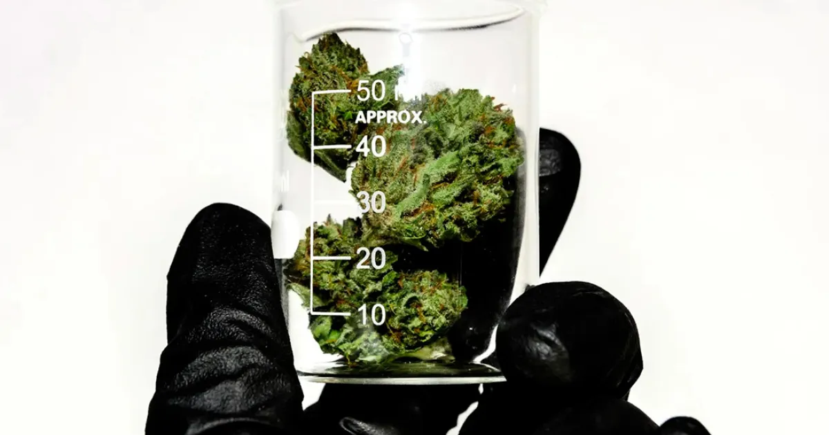 California Expands Cannabis Product Recalls Over Pesticide Violations