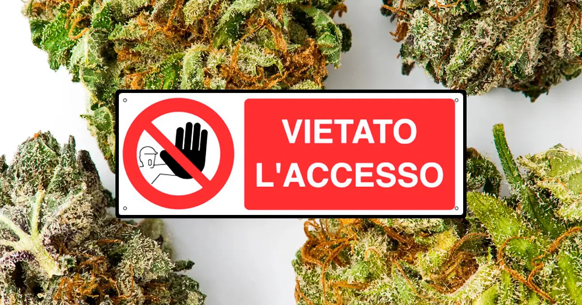 Italy Maintains Hemp Flower Ban Pending Constitutional Review in 2027