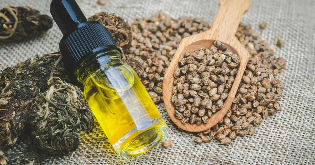 Scottish Hemp Seeks Growth in Oil and Animal Feed Markets