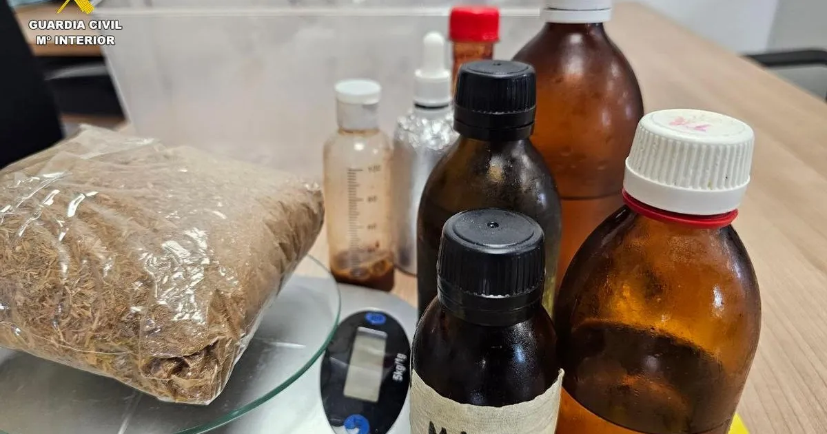 Four Dismissed Cases Support Ayahuasca Legal Defense in Spain