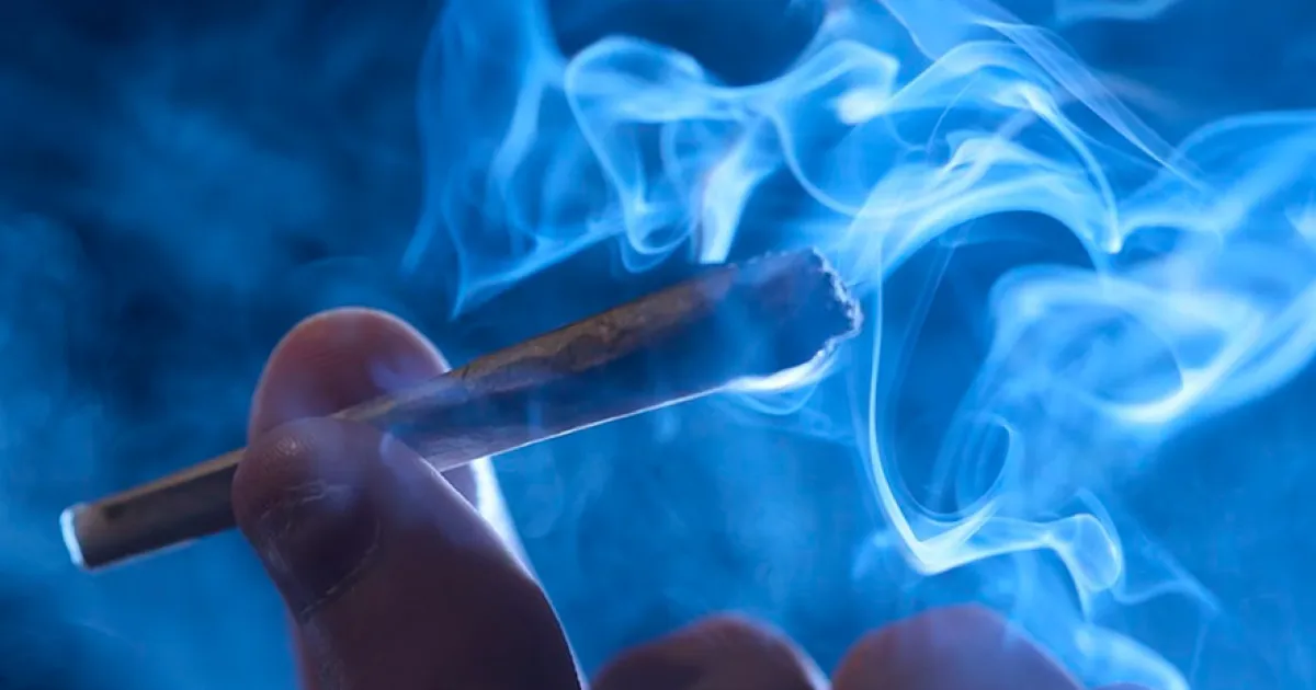 Study Identifies 79 Degradation Compounds When THC is Heated